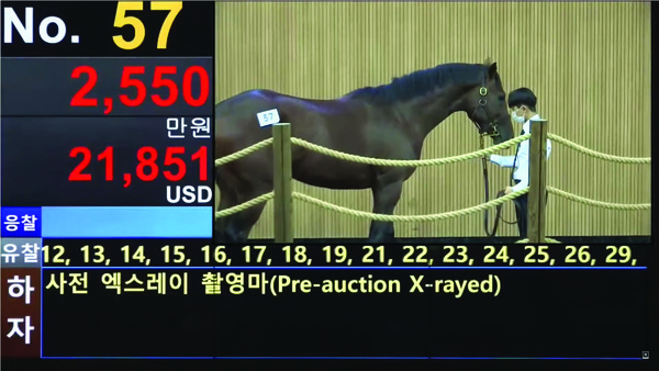 온라인 경매 실황 캡처.