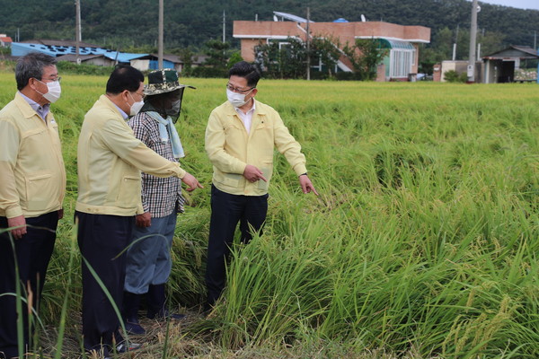 김현수 농림축산식품부 장관(오른쪽 첫 번째)이 지난 9월 9일 제10호 태풍 ‘하이선’의 영향으로 벼 도복, 과수 도복,낙과 등 농작물 피해가 발생한 현장을 점검하고 있다.