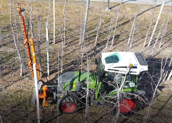 사과나무 기계 가지치기(전정)