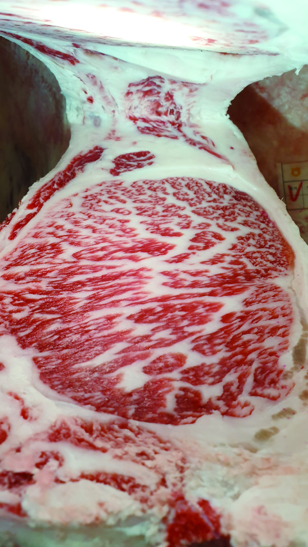 지난해 7월 출하한 거세우의 등심 단면적. 육질 1++, 도체중 517kg, 등심단면적 135㎠의 놀라운 성적을 거뒀다.