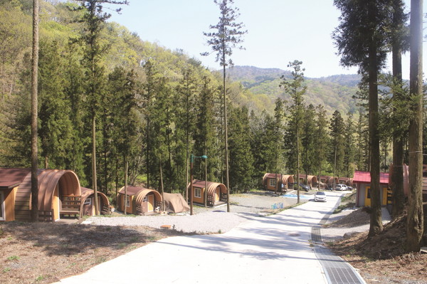 임업직불제를 통해 산림의 공익적·다원적 가치를 증진시키자는 목소리가 높아지고 있다. 사진은 숲속의 캠핑장. 