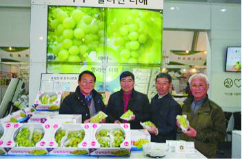 노병근 농업법인 대한포도 대표 등이 최근 열린 진주국제농식품박람회에서 저탄소 인증을 받은 샤인머스킷을 홍보하고 있다.