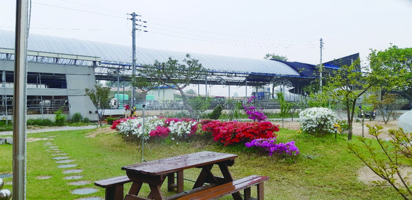 꽃과 나무로 아름답게 꾸며진 소고목장 전경.