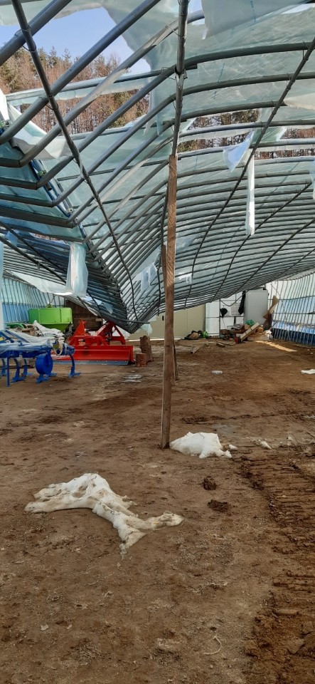 비닐하우스 피해