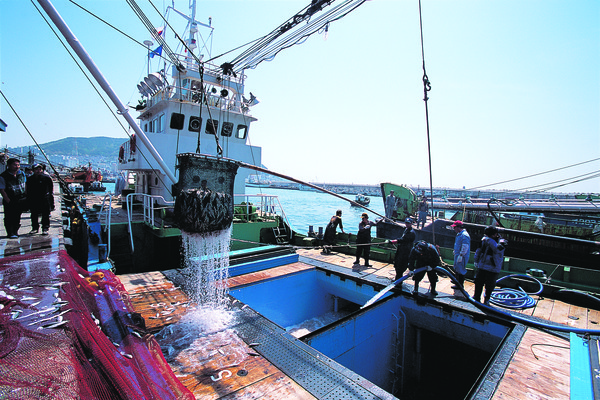 어가인구의 과소화와 어촌인력부족 문제를 해소하기 위해서는 어업의 자동화·기계화가 필요하다는 지적이 제기된다. 사진은 어획물을 양륙중인 대형선망어선.