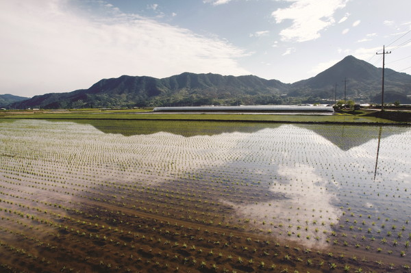 국제사회는 2015년 만료된 새천년개발목표의 뒤를 이을 새로운 목표로 사회적 불평등과 경제발전, 환경 등을 아우르는 지속가능발전목표를 제시했다.