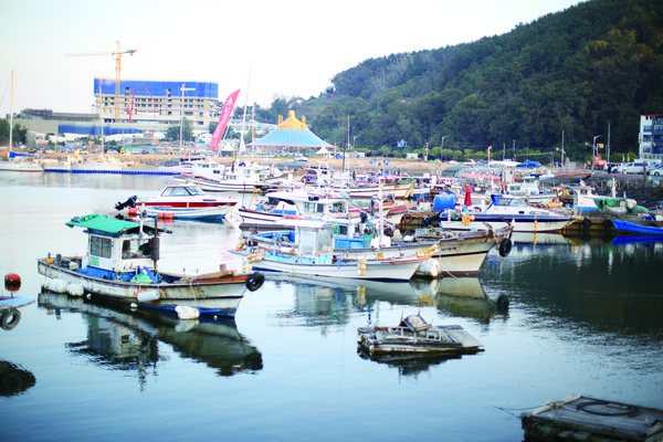 수산분야는 사람과 경제, 환경이 상생하는 우리의 지속가능한 바다를 달성하기 위해 9개 세부목표를 추진하게 된다. 사진은 어항에 정박중인 어선.
