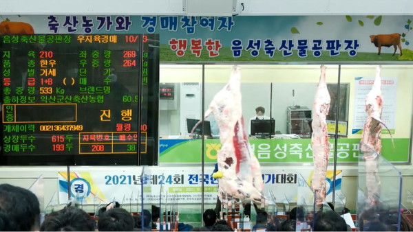 제24회 전국한우능력평가대회 경매 유튜브 화면. 