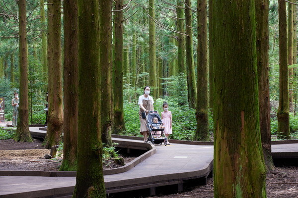제주도 서귀포시 사려니숲 무장애나눔길