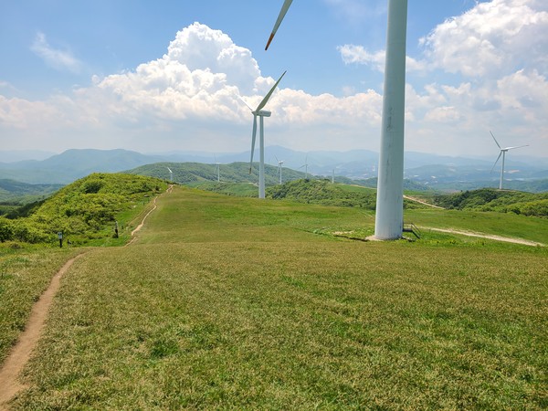 대관령숲길 선자령