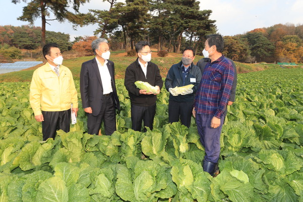김현수 농식품부 장관(가운데)이 농협 관계자들과 가을배추 작황에 대해 의견을 나누고 있다.  