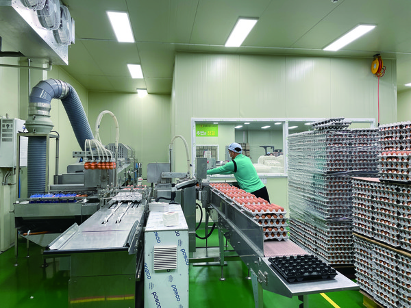 경기도 화성에 위치한 농업회사법인 대한(주)에서 한 직원이 선별포장 작업을 하기 위해 계란을 옮기고 있는 모습.  