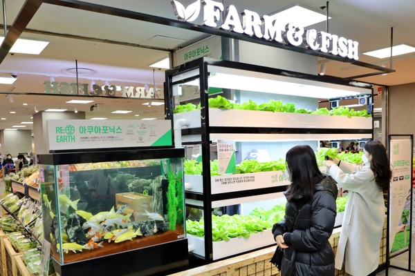 롯데마트는 서울 잠실점을 제타플렉스로 변경했다. 이 매장은 식품류가 타 매장 대비 30%가량 많은 것이 특징이다.