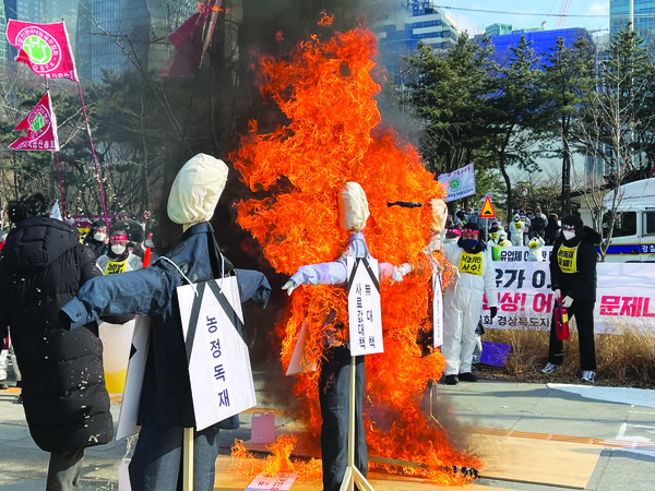 낙농인들이 낙농제도 개편 철회 등 강력한 메시지를 전달하기 위해  허수아비 화형식을 진행했다. 
