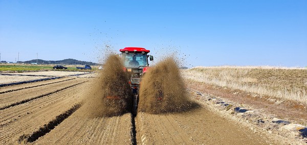 지난 4월경 건답직파를 하는 모습.