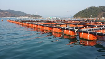 태안군은 해양쓰레기를 줄이기 위해 친환경 부표 보급 사업을 추진한다.