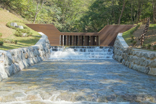 강원 양양 원목 스크린 사방댐 설치 후 모습.