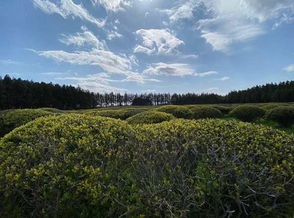제주도에 위치한 파트너 농장