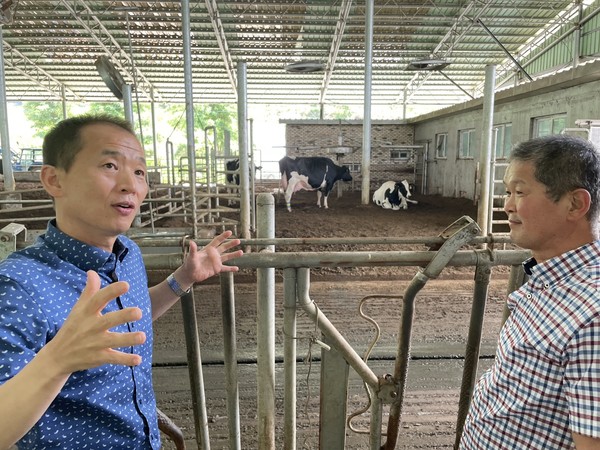 김준수 팀장(왼쪽)이 엑셀런트우 인증을 받은 덕현목장 젖소의 체형적 우수성에 대해 설명하고 있다. 