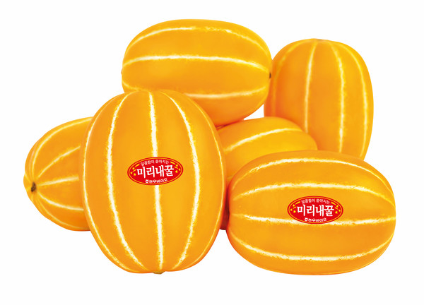 농우바이오의 미리내꿀 참외