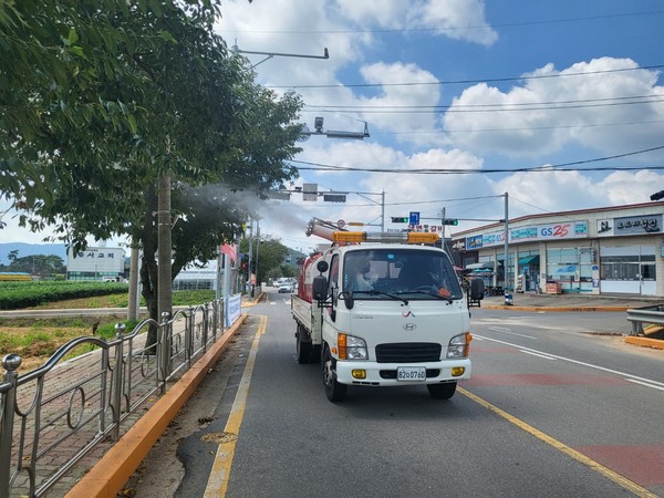 미국흰불나방 방제단이 가로수 방제를 실시하고 있다.