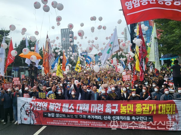 29일 서울역 인근에서 열린 농민 총궐기 대회의 모습