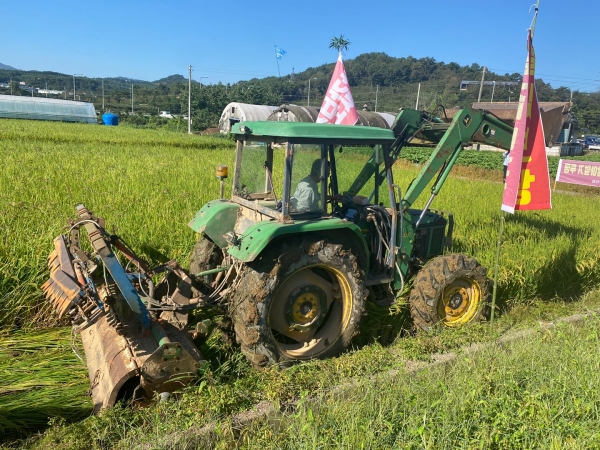 전농 충남도연맹 소속 농업인들이 21일 충남 청양군에서 쌀값 안정화 대책 마련을 촉구하며 수확을 앞둔 벼를 갈아엎고 있다.
