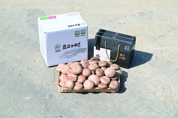  하진이네버섯뜰에서 생산되고 있는 표고버섯. 네이버와 쿠팡, 위메프, 지마켓 등 온라인 쇼핑몰과 직거래로 판매되고 있다. 