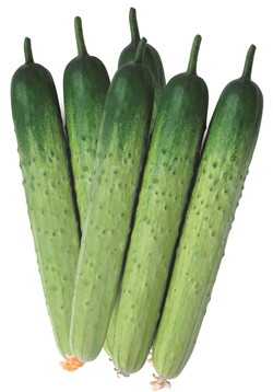 굿모닝 백다다기