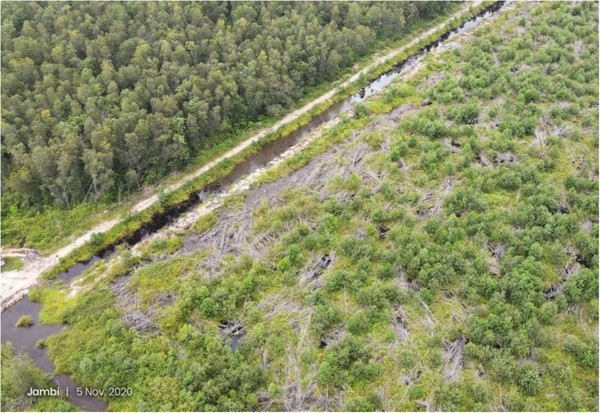 인도네시아 이탄지 사업 전경