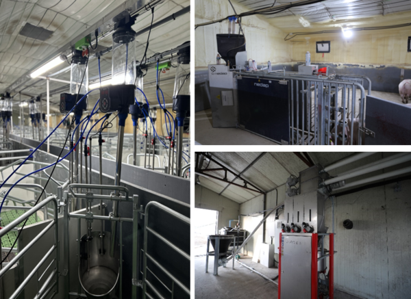 (왼쪽)선진에서 자체 개발한 포유모돈급이기 X-01. (오른쪽 위)군사급이기.(오른쪽 아래)자돈을 위한 ‘스팟믹스’.