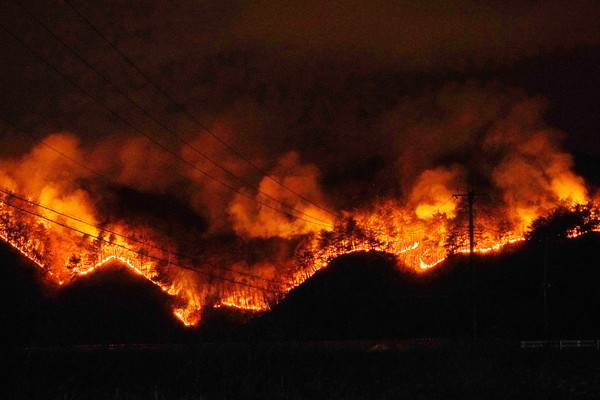 지난 4월 10일 강원도 양구군 양구읍 송청리에서 일어난 산불