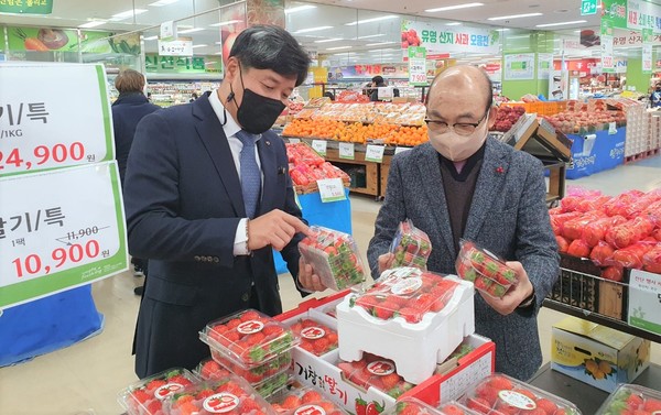 황준구 본부장(왼쪽)이 지난 2일 관악농협 농산물백화점을 찾아 박준식 조합장(오른쪽)과 함께 진열된 과일을 살펴보고 있다.