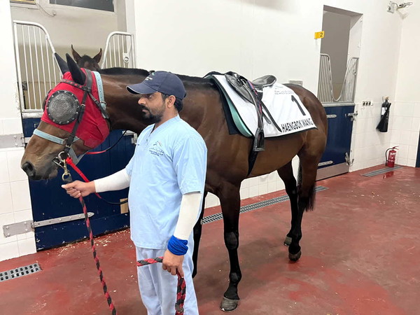 두바이 월드컵에 출전하는 '행복왕자'