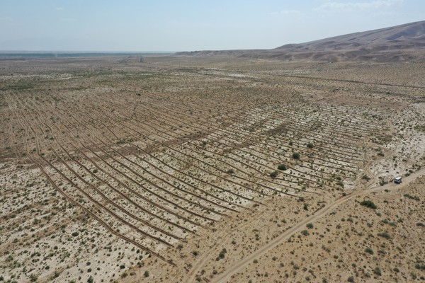 타지키스탄 쌀사울 조림지 전경