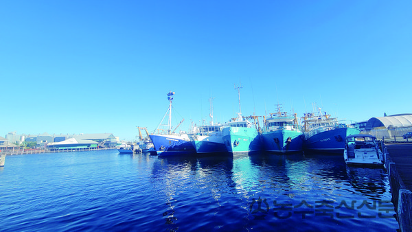 MSC인증 기준을 통한 어업개선은 어업관리에 소요되는 행정비용과 사회적 비용을 절감할 수 있다는 점에서 우리나라에도 시사점이 있다. 사진은 서호주 프리맨틀 항에 정박 중인 어선들.