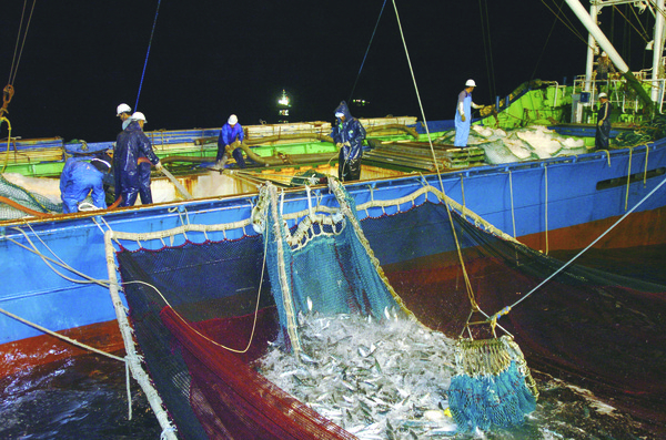 어선원들이 어획물을 끌어올리는데 한창이다. 소규모어가·어선원 직불금 대상자는 오는 5월 31일까지 직접 신청해야 지원금 수령이 가능하다.