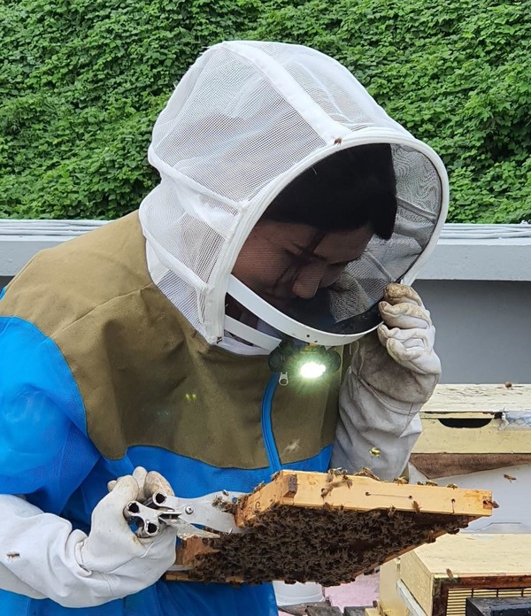 한국양봉학회가 ‘세계 벌의 날’을 맞아 지난 19일 우수 연구자에 대한 시상식을 개최했다. 사진은 꿀벌 실험 중인 ‘우수신진연구자상’ 수상자인 김윤희 씨. 