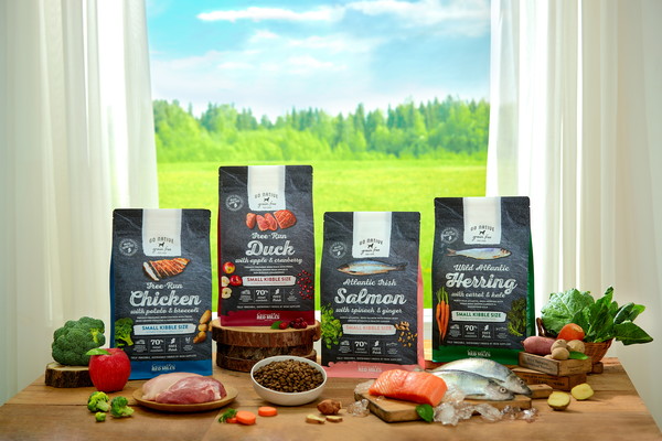 고 네이티브 연출 이미지 