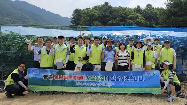 농협서울본부는 4일 경기도 포천시 내촌면 소재 포도 농가를 방문해 포도 봉지씌우기 등 농촌 일손돕기를 실시했다.(사진 1열 왼쪽 4번째부터 황준구 농협서울본부장, 김창길 가산농협 조합장, 박윤경 농협포천시지부장)