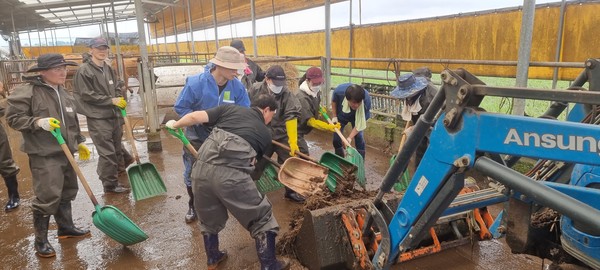 지난 16일 이종범 청주축협 조합장을 비롯한 임직원들이 폭우피해가 가장 심한 축산농가 6곳을 찾아 피해복구작업을 하고 있다.