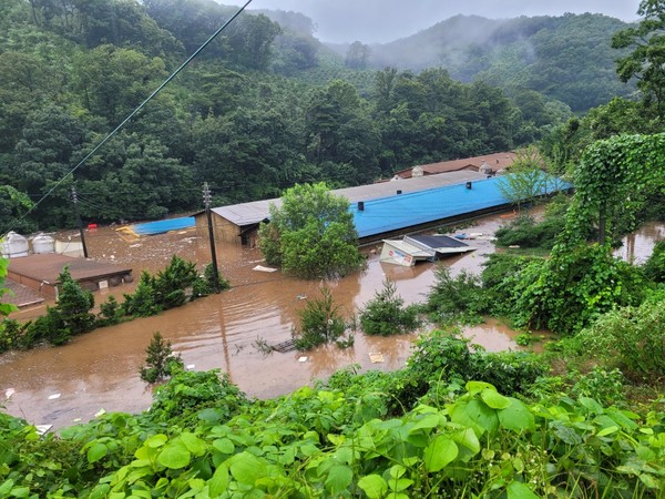 청양군 수해현장