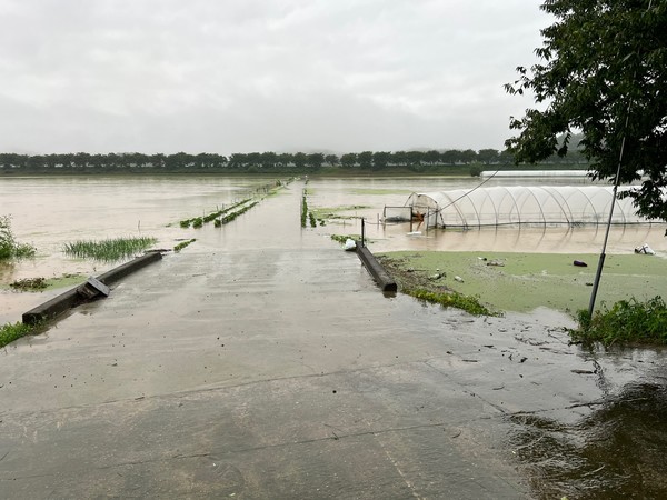 청양지역 수해현장
