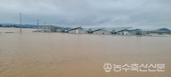 지난달 발생한 폭우로 물에 잠긴 육계 농장. 