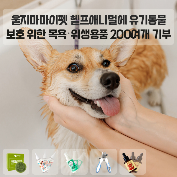 [사진제공 헬프애니멀]