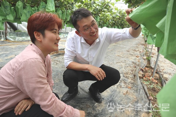 박상윤 대표가 신젠타코리아의 김규동 팀장과 함께 샤인머스캣을 들여다보며 재배와 병해충 관리 요령 등에 대해 이야기 나누고 있다.