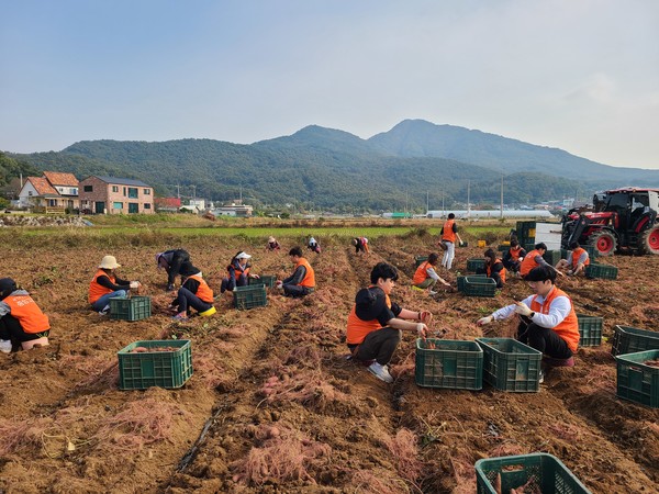 중앙그룹 계열사와 농협 임직원들은 지난 18일 인천 강화군에서 농촌일손돕기를 실시했다.
