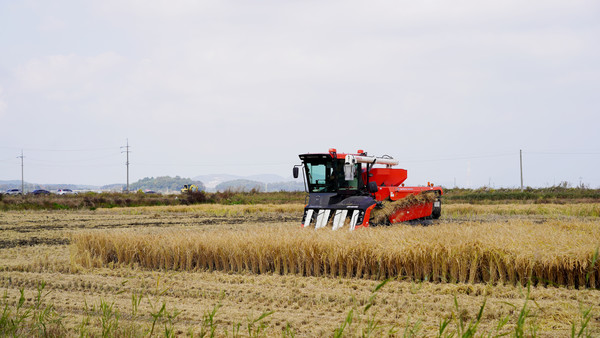  자율작업 농기계 작업 시연에서 대동 직원이 자율작업 콤바인으로 벼 수확 작업을 진행하고 있다. 