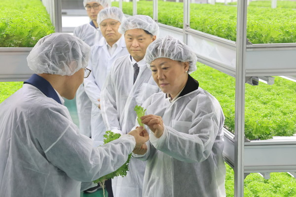 송미령 농식품부 장관(오른쪽)이 수직농장에서 재배되고 있는 상추를 살펴보고 있다. 