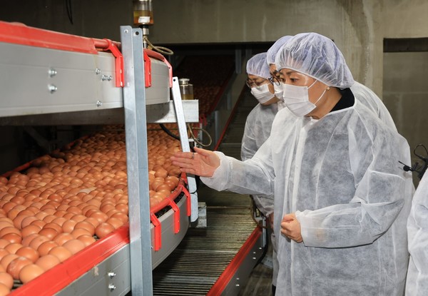 송미령 장관이 계란 생산 현장을 둘러보고 있다.